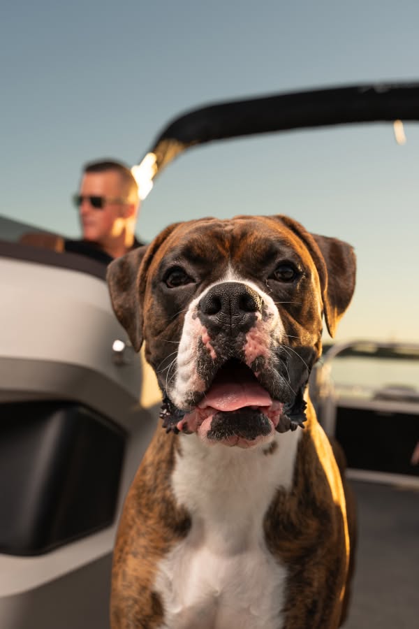 Mike Sposato on Lake Norman with his dog